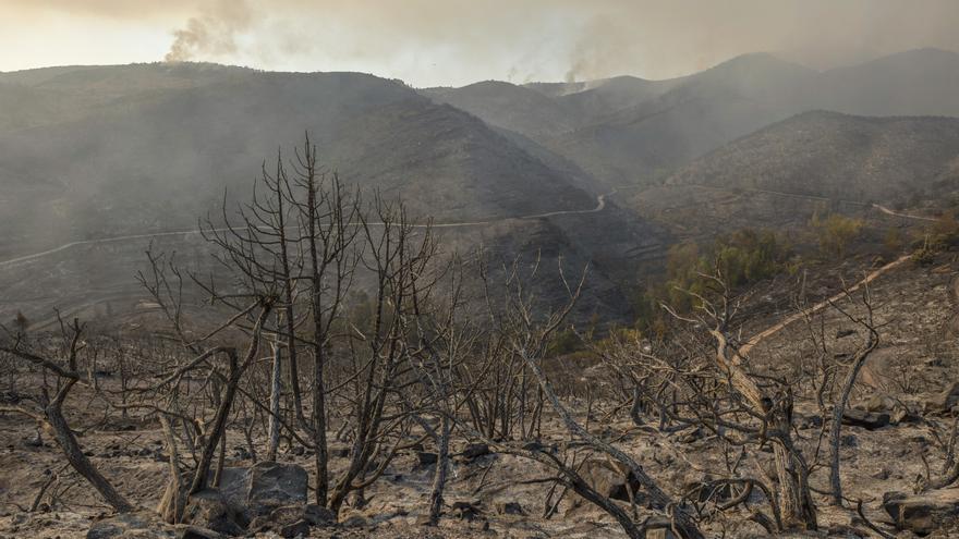 Evolución positiva del incendio de Bejís, sin rebrotes ni puntos calientes