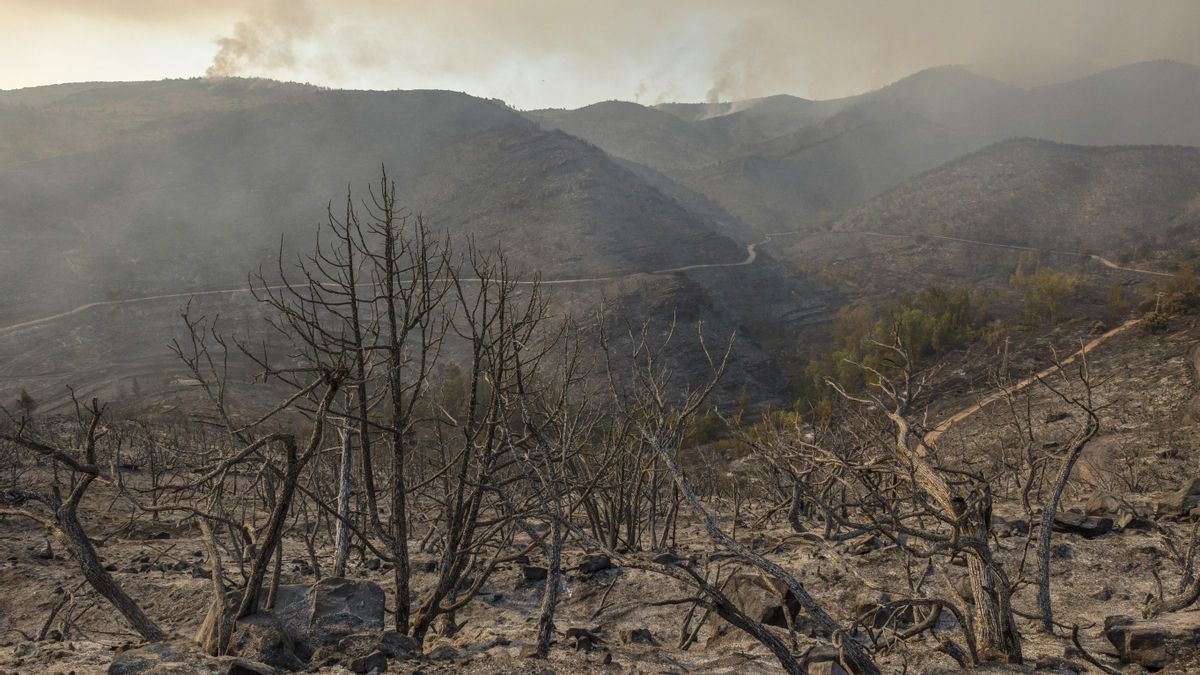 Incendio de Bejís, en Castellón.