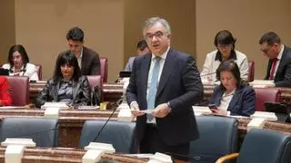 El Gobierno regional ampliará y obligará a retirar hasta 350.000 toneladas de residuos en los terrenos de Zinsa
