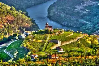 El tren del vino que atraviesa un paisaje Patrimonio Mundial por menos de 20 euros: lleva más de 150 años recorriendo el Duero