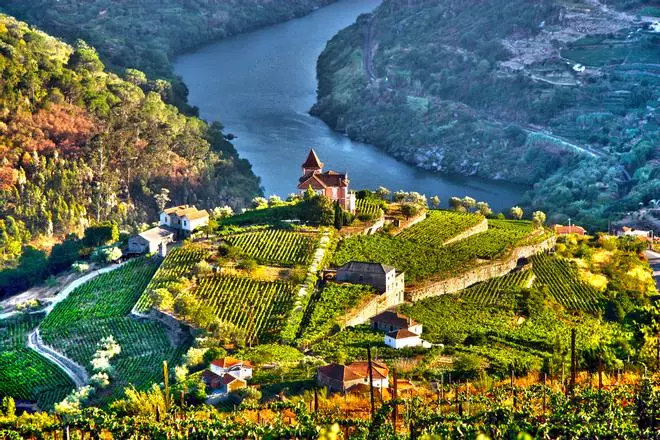 El tren del vino que atraviesa un paisaje Patrimonio Mundial por menos de 20 euros: lleva más de 150 años recorriendo el Duero