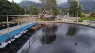 Medio Ambiente atribuye el hedor de la depuradora de Sóller a los residuos de las ‘tafones’