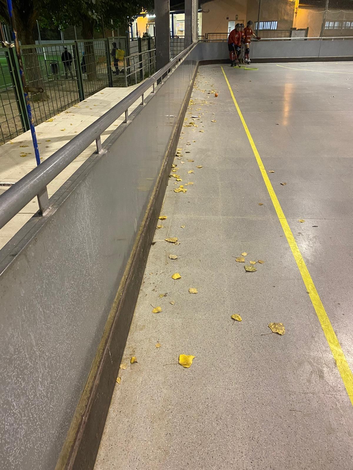 Estat de la pista de la Balconada