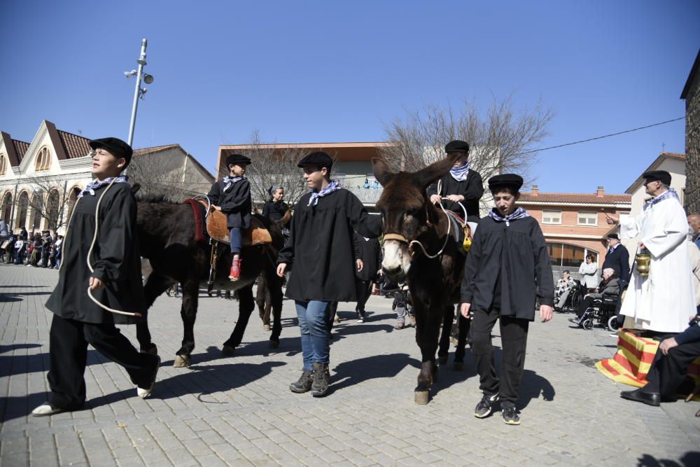 Traginers de Balsareny 2019