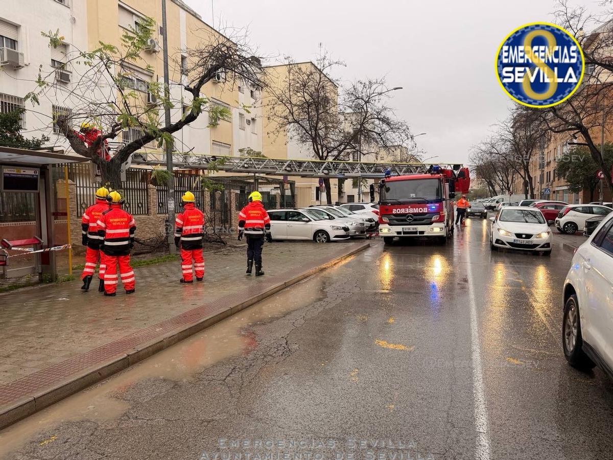 Los Bomberos durante una actuación por los efectos de la borrasca Marta en Sevilla.