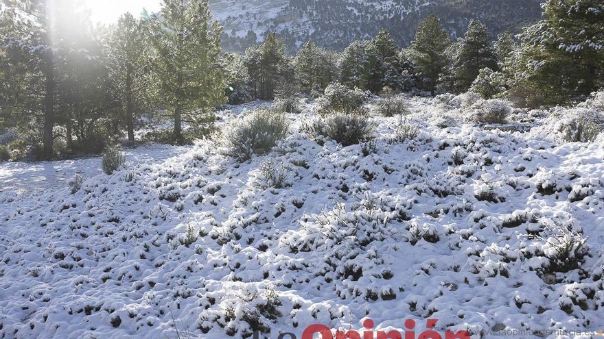 La nieve se hace presente en las proximidades de Revolcadores