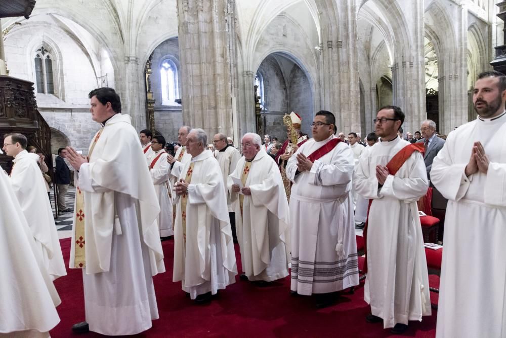 Ordenación de nuevos sacerdotes en la Catedral