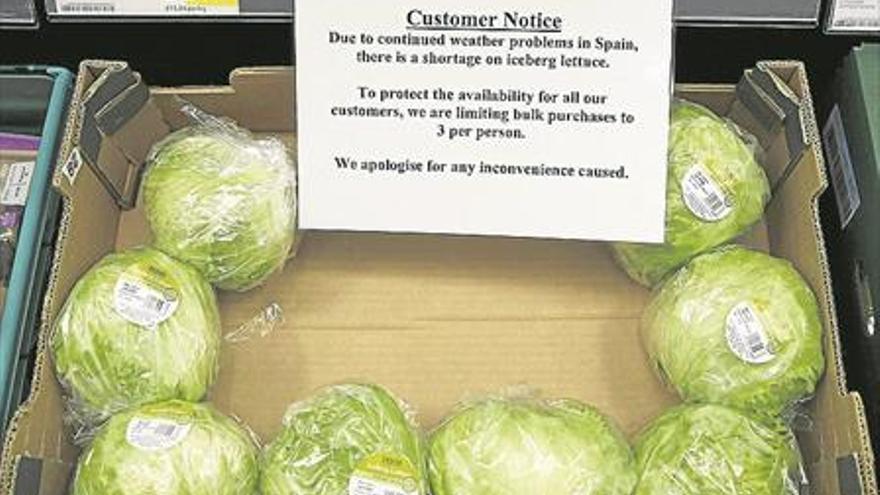 Los supermercados británicos racionan la lechuga española por el mal tiempo