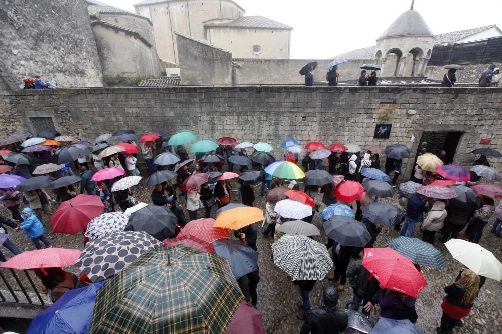 La pluja no desanima l'afluència de públic a «Temps de Flors»