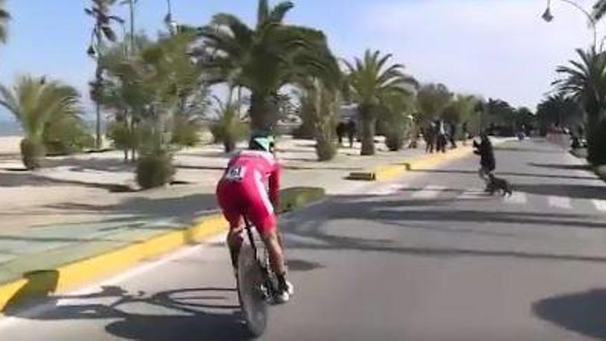 VÍDEO: Peter Sagan evita aixafar un gos a l&#039;últim moment