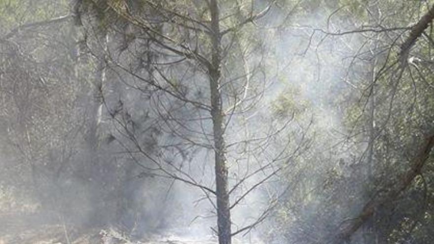 Petit incendi en una zona boscosa prop del Calvet