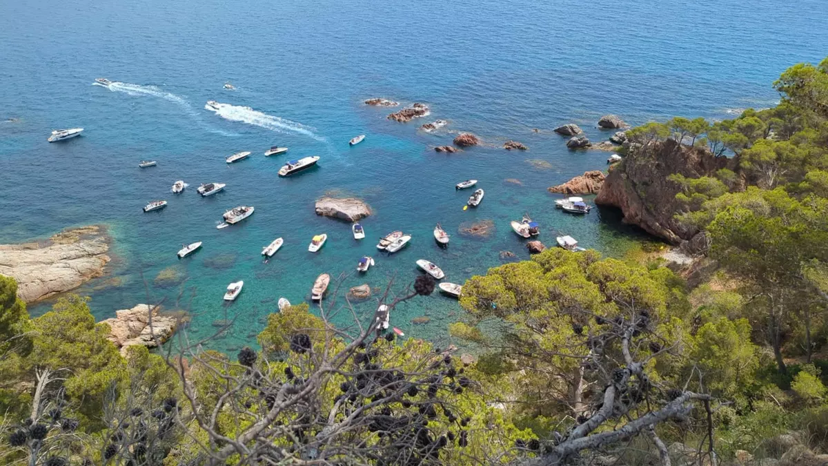 Roben les boies de tres cales de l'Empordà tres dies després que s’instal·lessin
