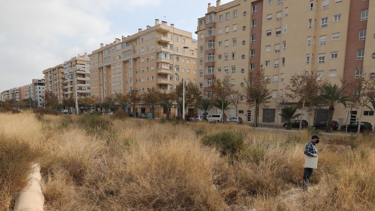 The northern area of Elche where the E-48 sector is located. | ANTONIO AMORÓS The northern area of Elche where the E-48 sector is located. | ANTONIO AMORÓS