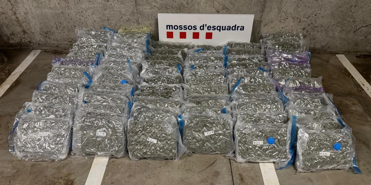 Droga incautada en Martorell por los Mossos d'Esquadra