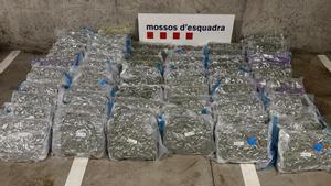 Droga incautada en Martorell por los Mossos dEsquadra