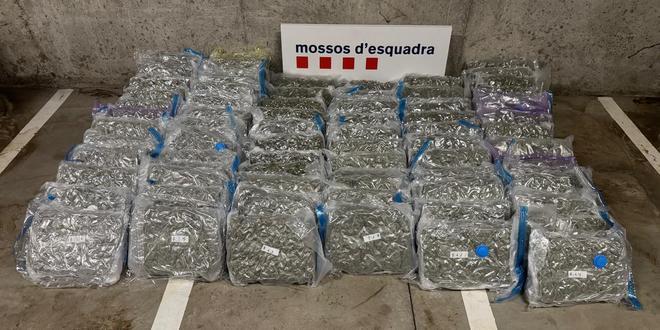 Droga incautada en Martorell por los Mossos dEsquadra