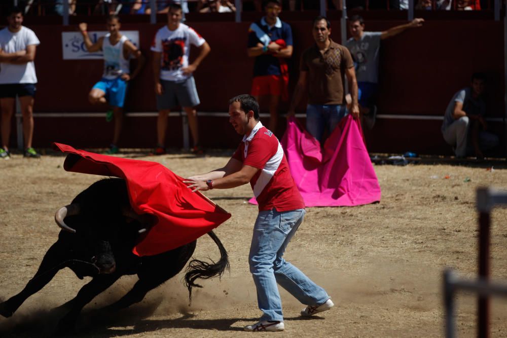 Encierro urbano en Villaescusa