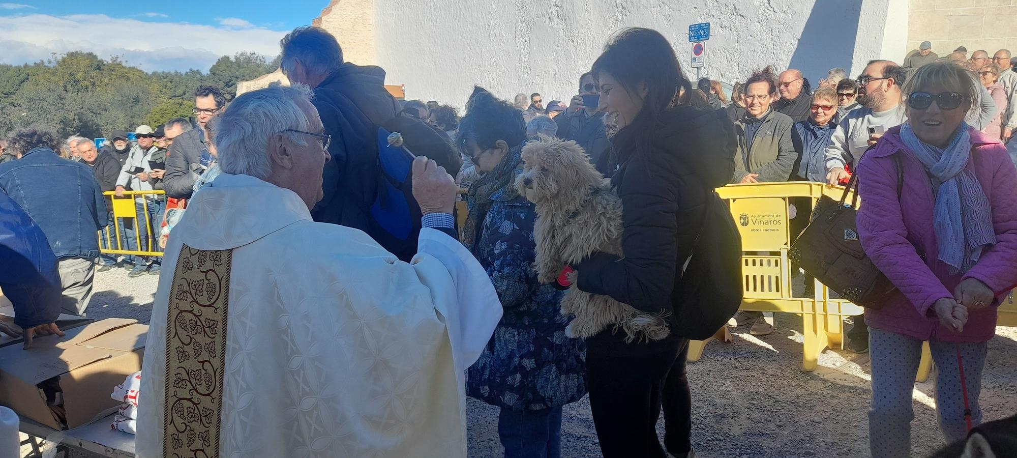 Sant Antoni en Vinaròs.jpg