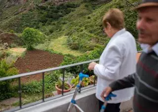 El Cabildo de Tenerife restituye el día 1 el transporte social en Anaga