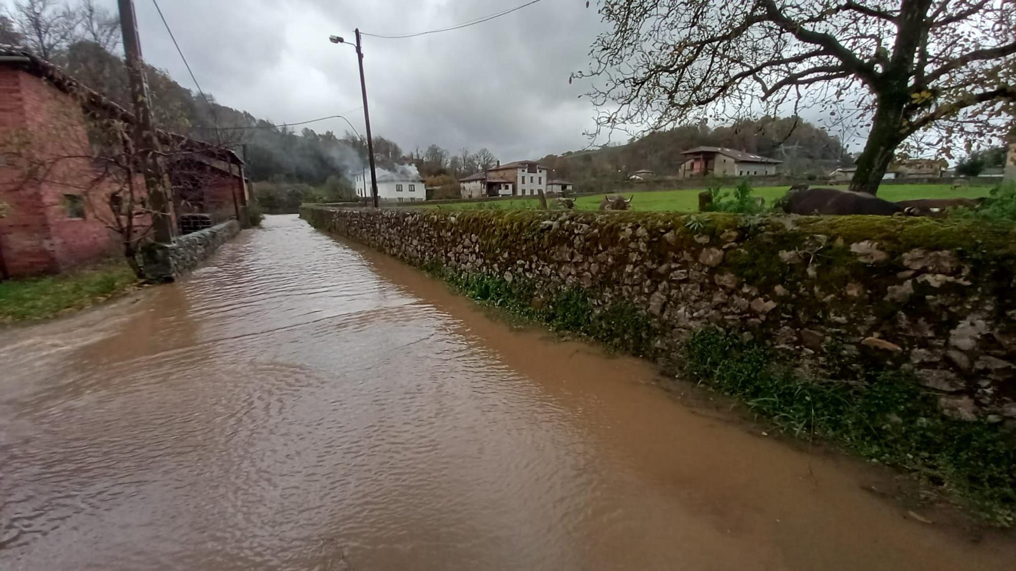 Temporal en Asturias: la lluvia complica la situación en muchos puntos de la región, con alerta amarilla