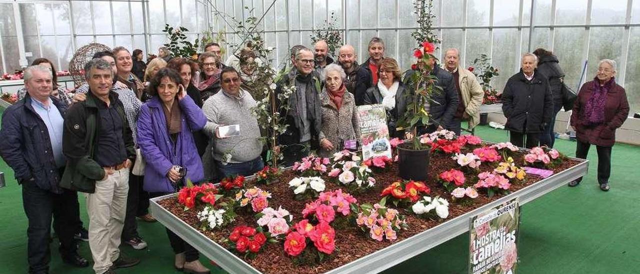 Las camelias se asientan en Montealegre - Faro de Vigo