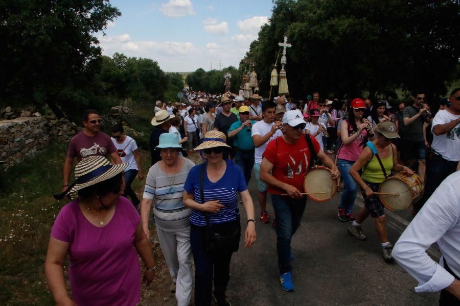 Romería de la Virgen del Castillo en Fariza