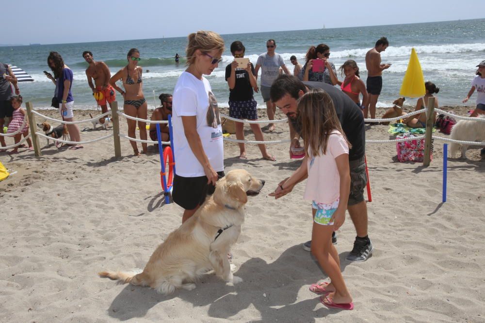 Mascotas de carne y hueso en la playa de Agua Amar