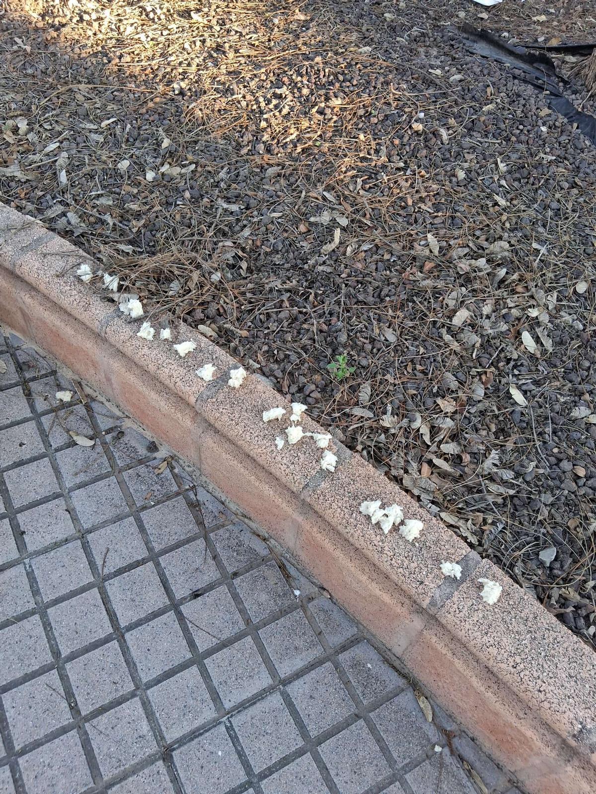 Veneno colocado en diferentes calles, según denuncia un vecino.