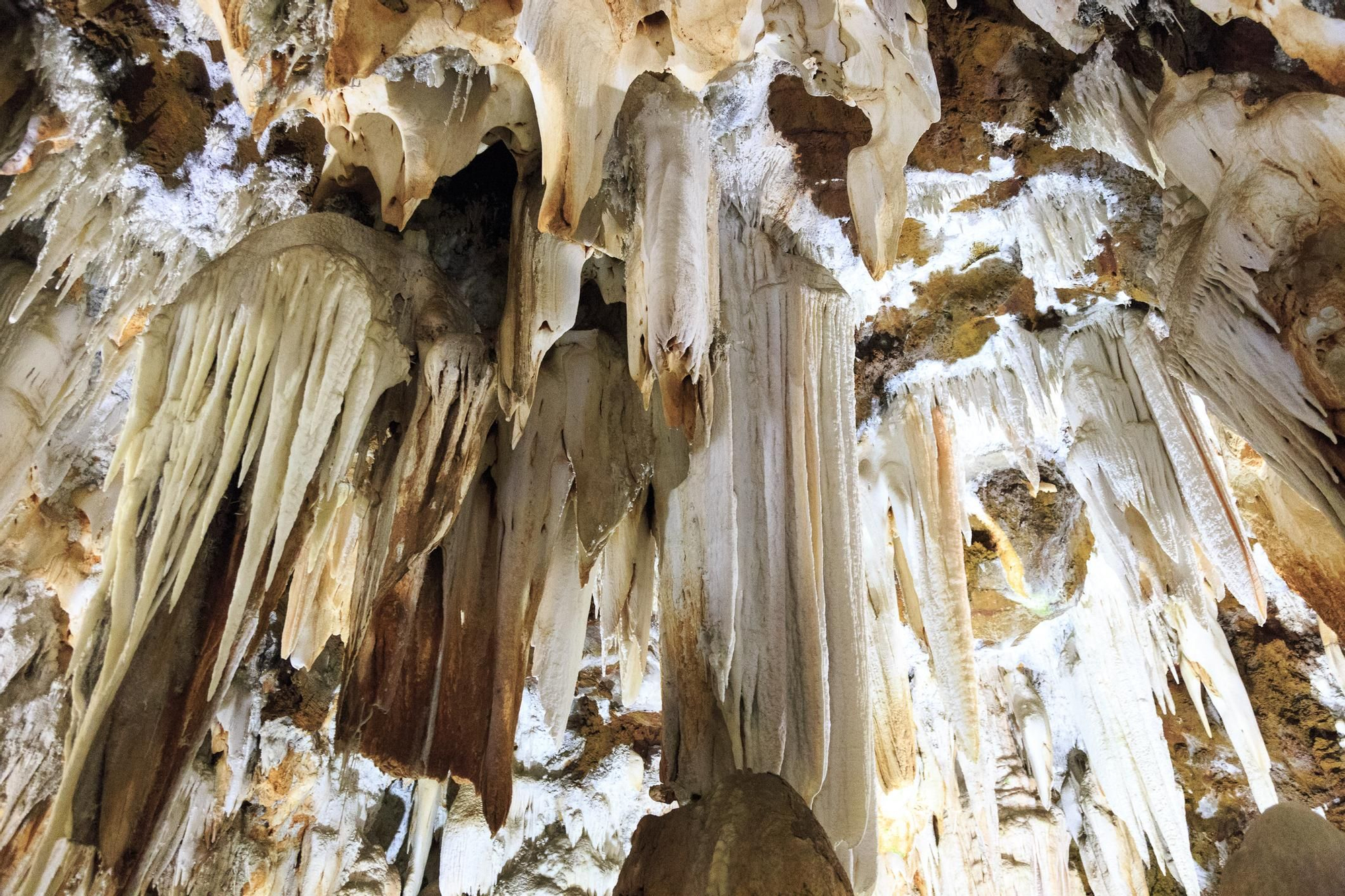 Cuevas del Águila.