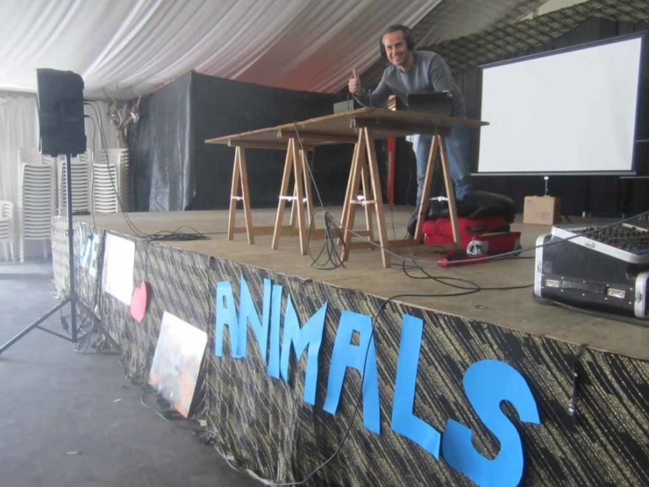 Fiesta en beneficio de los animales