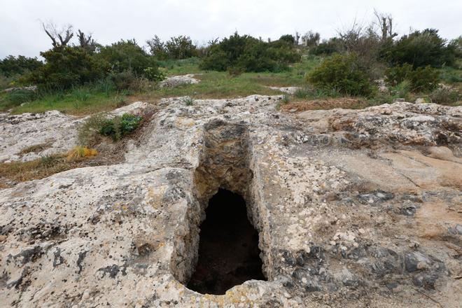 La necrópolis del Puig des Molins, un oasis de historia, flora y fauna en Ibiza