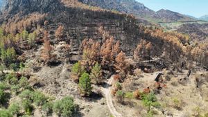 El abandono agrícola se hace evidente con las imágenes desde el aire del comportamiento del fuego