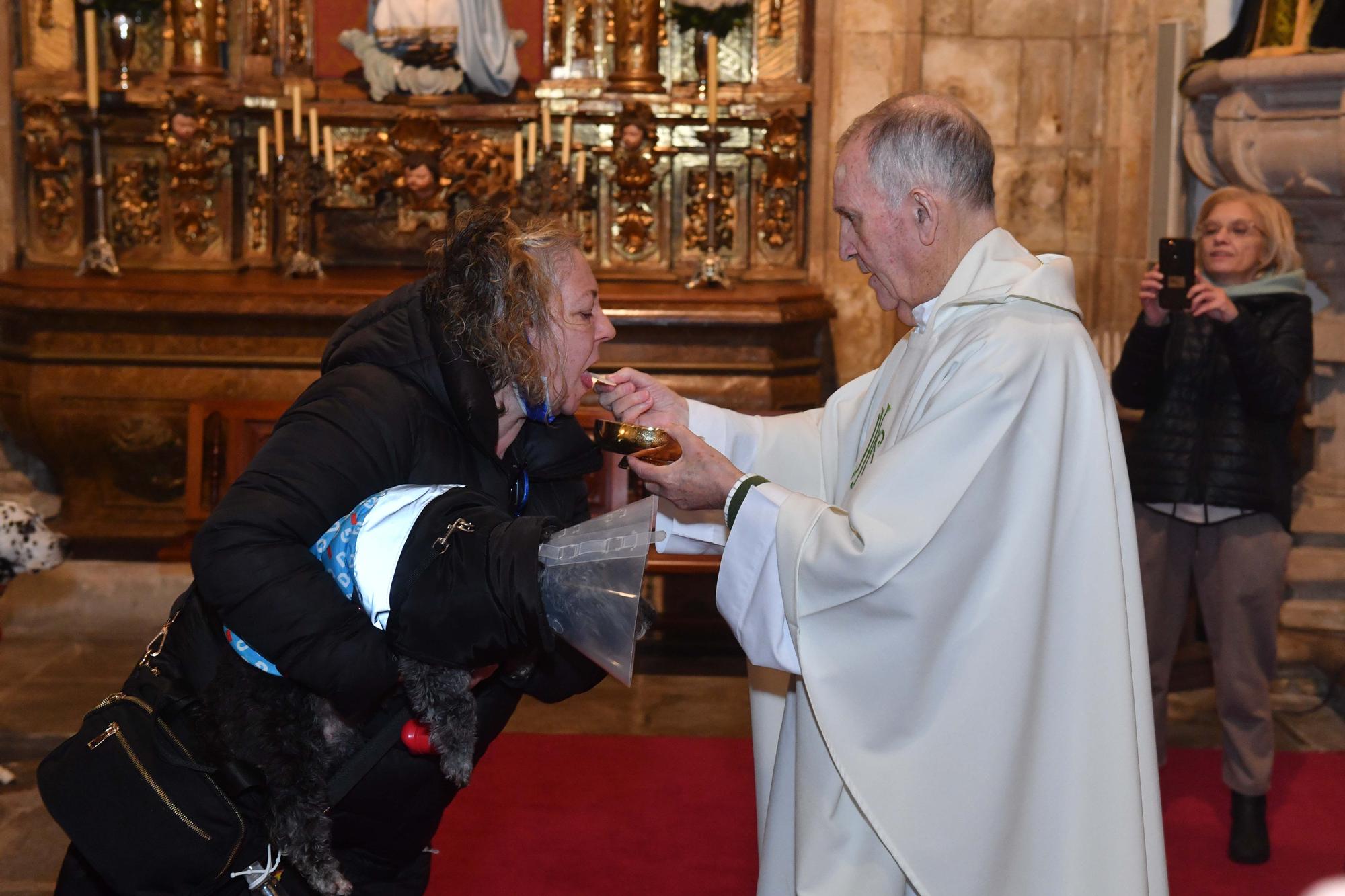 Bendición de mascotas por San Antón en A Coruña