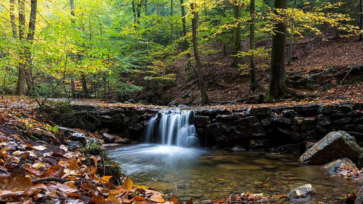 Senderismo junto al arroyo Ninglinspo, con cascadas y pozas de cuento