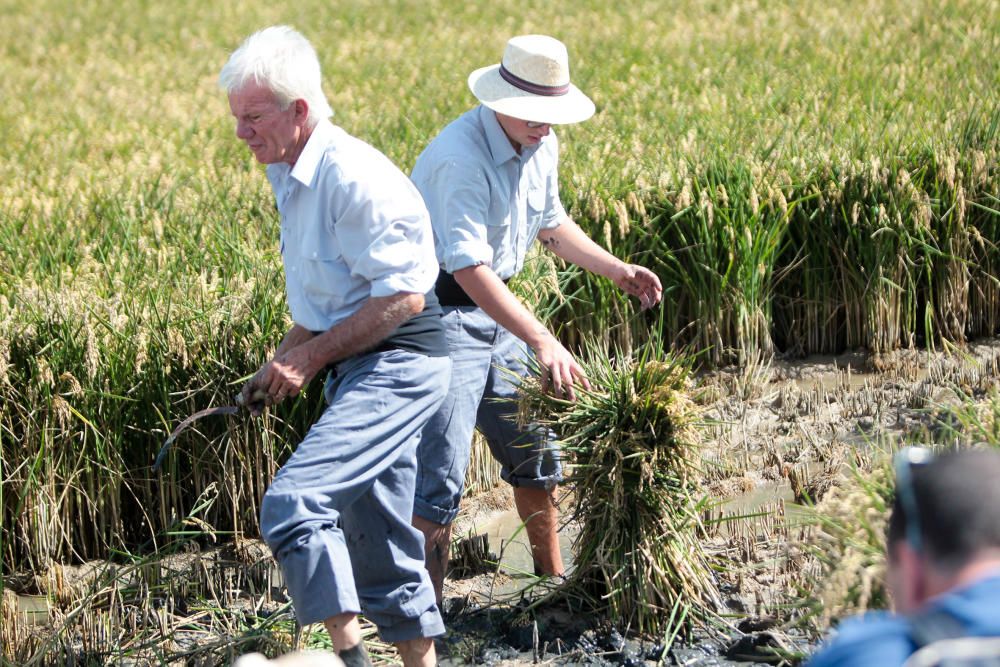 Fiesta de la Siega del Arroz