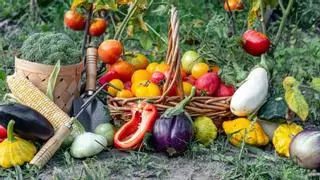Qué plantar en septiembre en el huerto en España: calendario, plantas y tareas importantes este mes