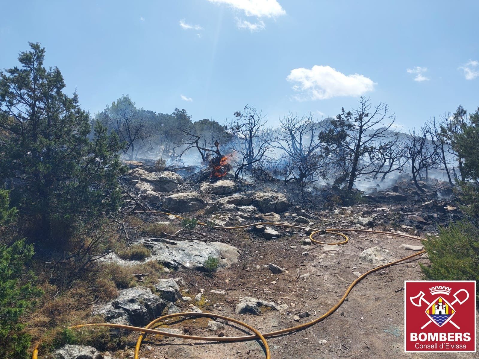 Todas las imágenes del incendio forestal en na Xemena, en Sant Joan