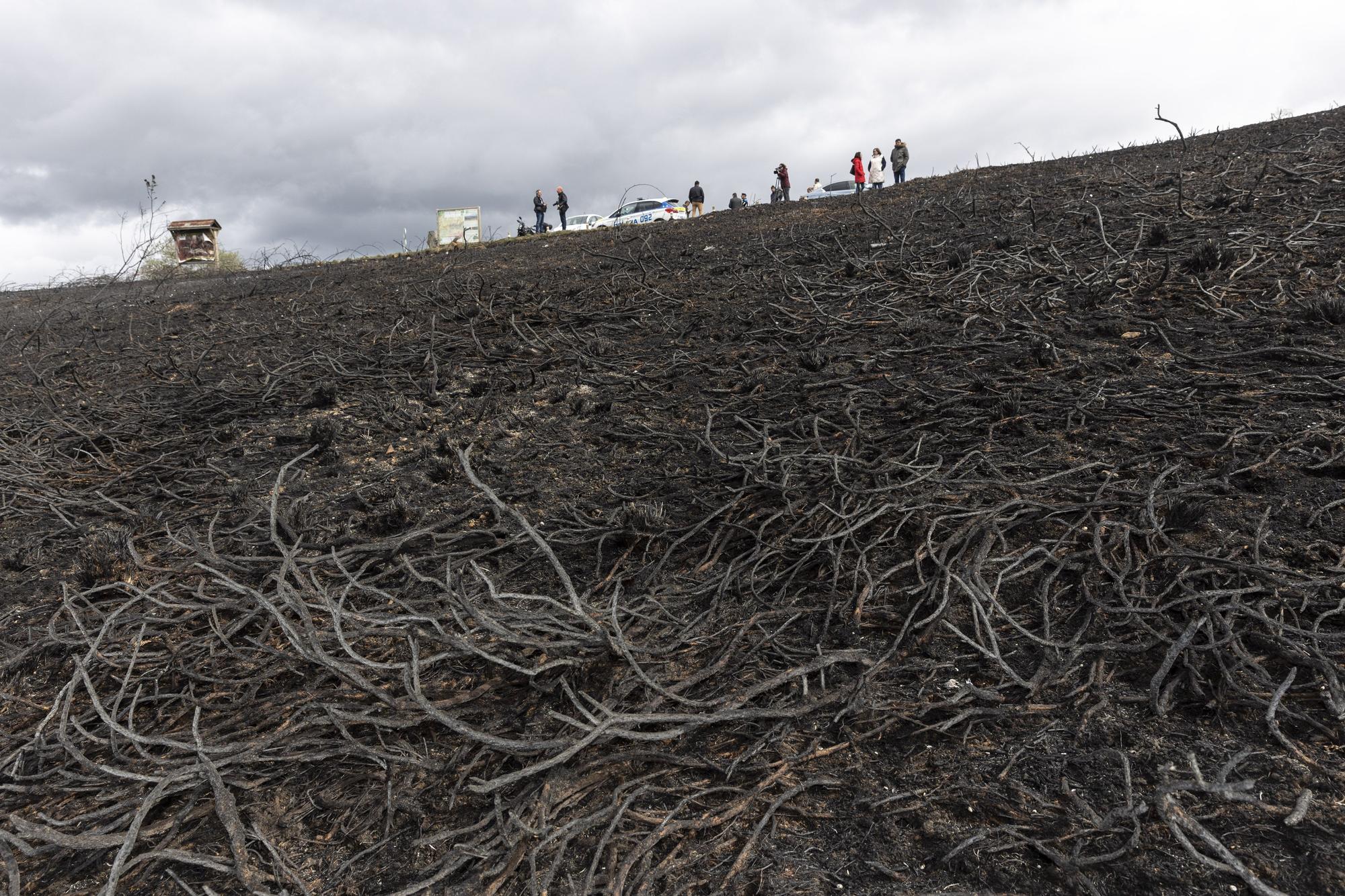 El aspecto del Naranco tras unos incendios históricos