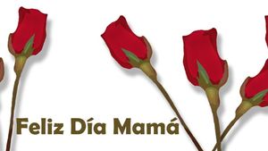 0-madre