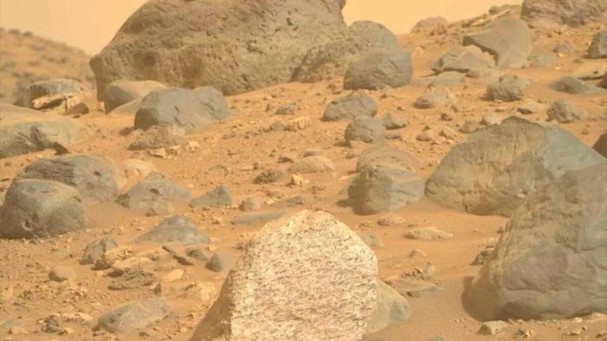 Rocas en la Formación Bright Angel. El rover Mars Perseverance de la NASA obtuvo esta imagen el 29 de mayo de 2024.