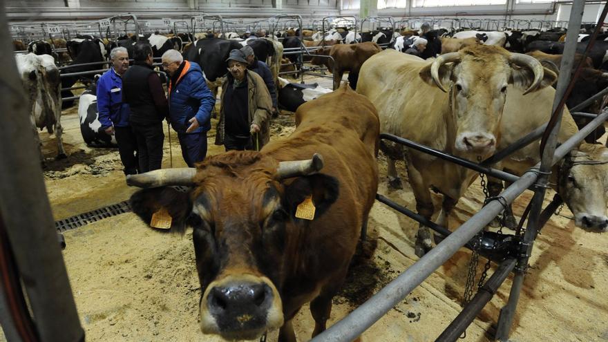 Asistentes al mercado en el recinto de Silleda.