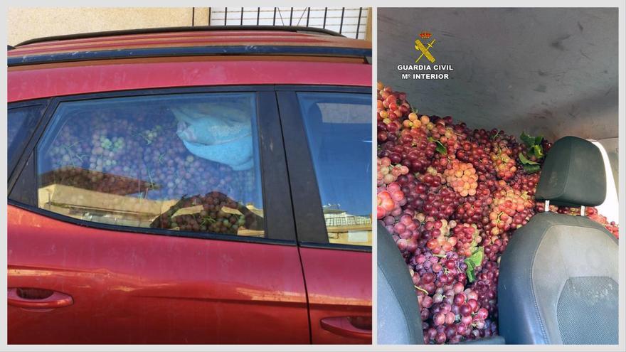 Roban dos toneladas de uva en fincas de Alhama de Murcia y Totana