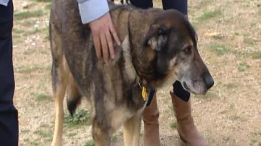 "Chacho", siete años esperando una familia