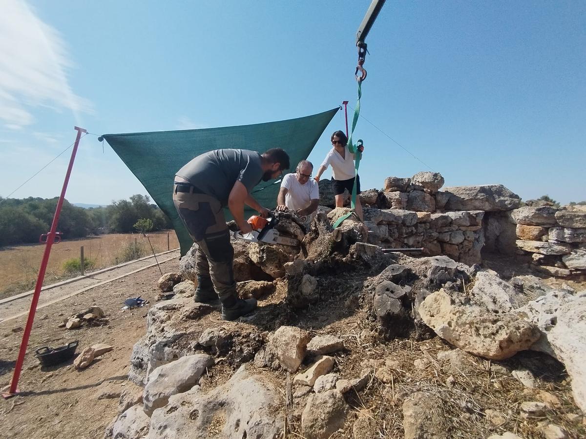 Trabajos de restauración en el talayot de Es Baulenes, en Porreres, este verano