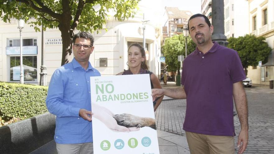 Sadeco ha recogido en lo que va de año casi un millar de mascotas abandonadas