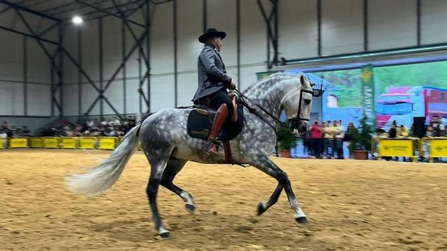 Varios momentos de las jornadas ecuestres celebradas en Pola de Laviana este fin de semana. | LAVIANA ECUESTRE