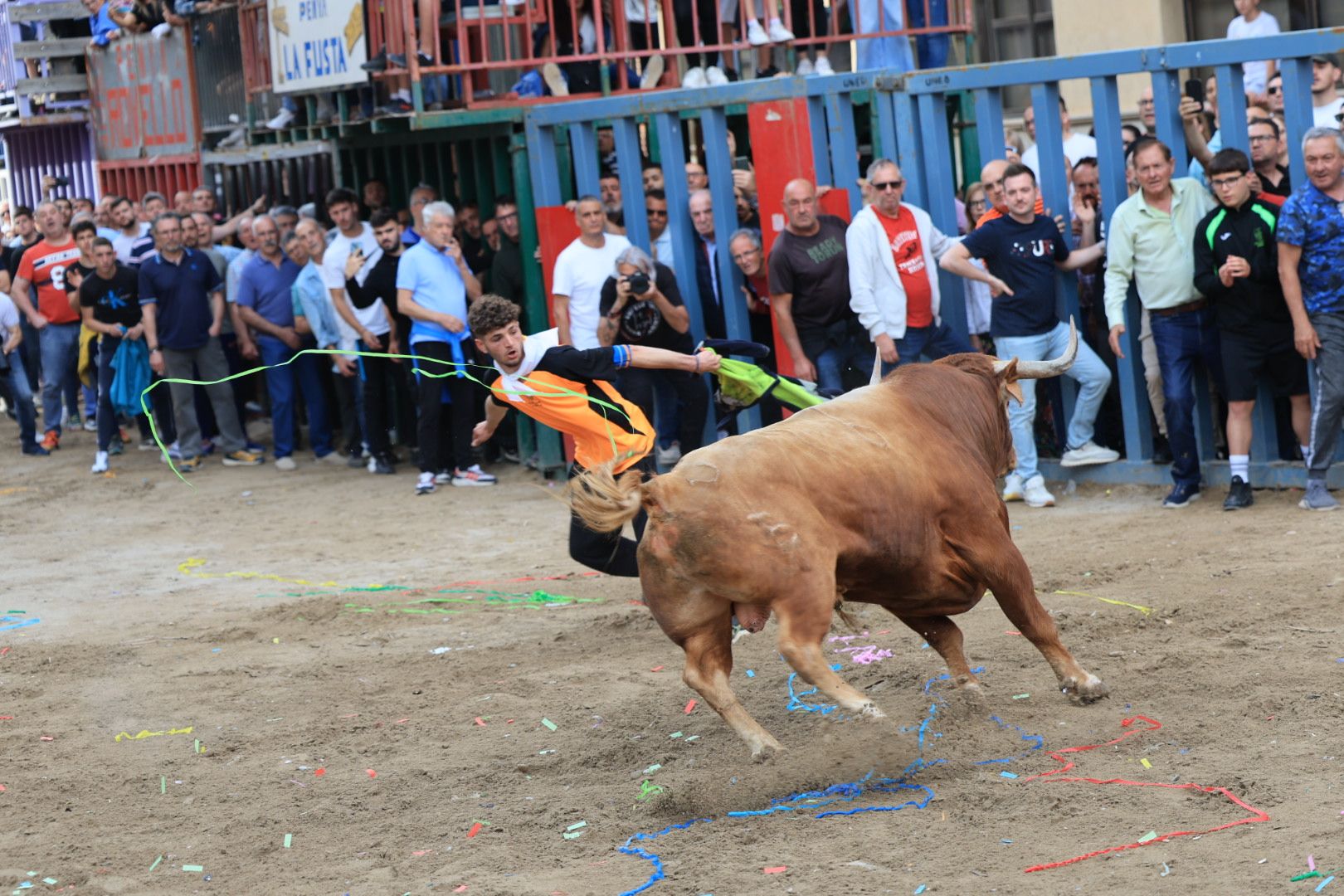 Fotos de la tarde taurina del jueves de las fiestas de Sant Pasqual en Vila-real