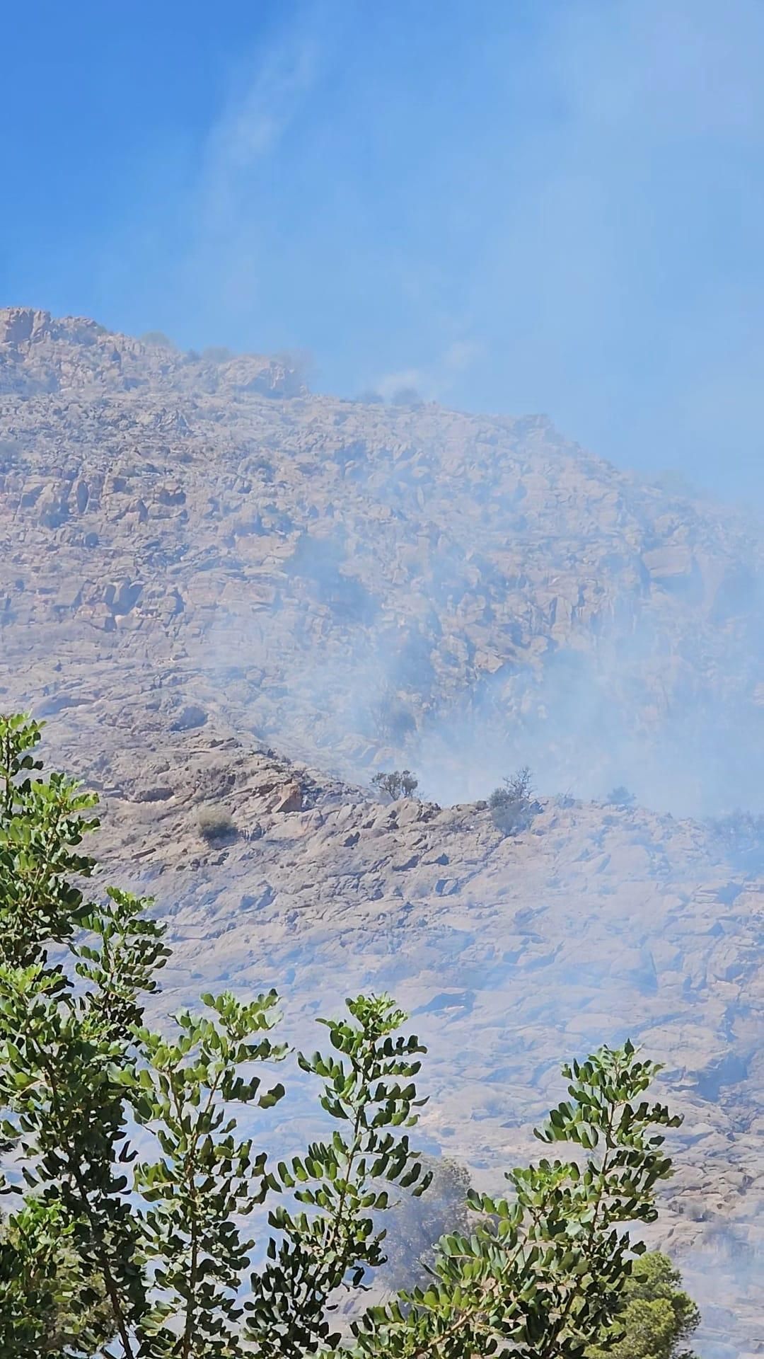 Controlado el incendio forestal que afectaba a la Sierra de Orihuela en La Aparecida