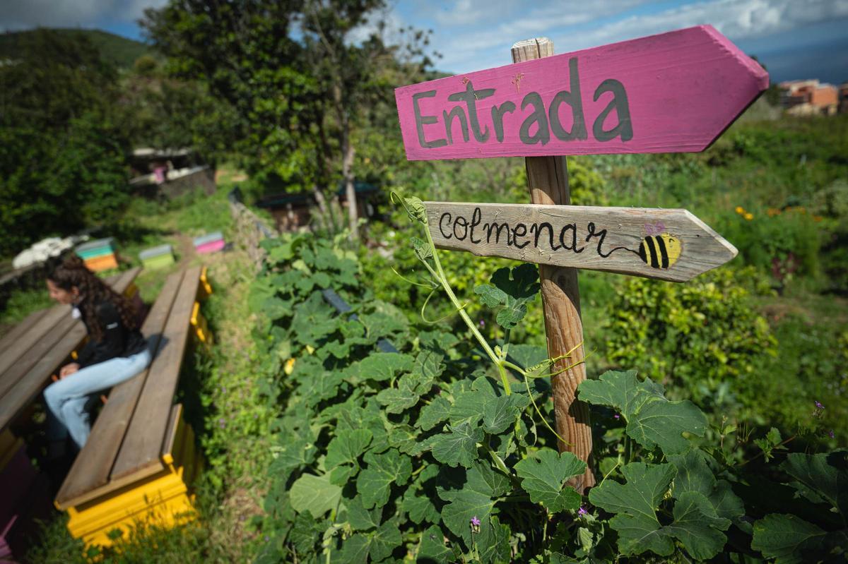 Natalia Díaz enseña su finca ecológica Ecoalpispa por el Día Mundial de las Abejas
