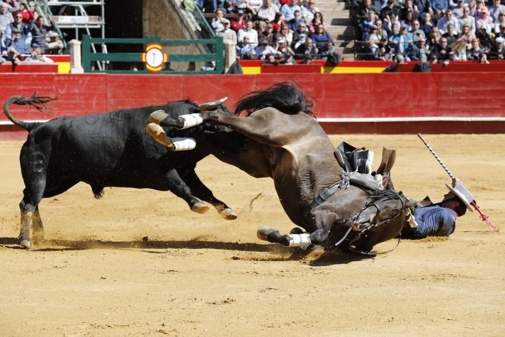 Secuencia de la cogida de uno de los caballos del rejoneador Sergio Galán el día de San José en la Feria de Fallas 2019.